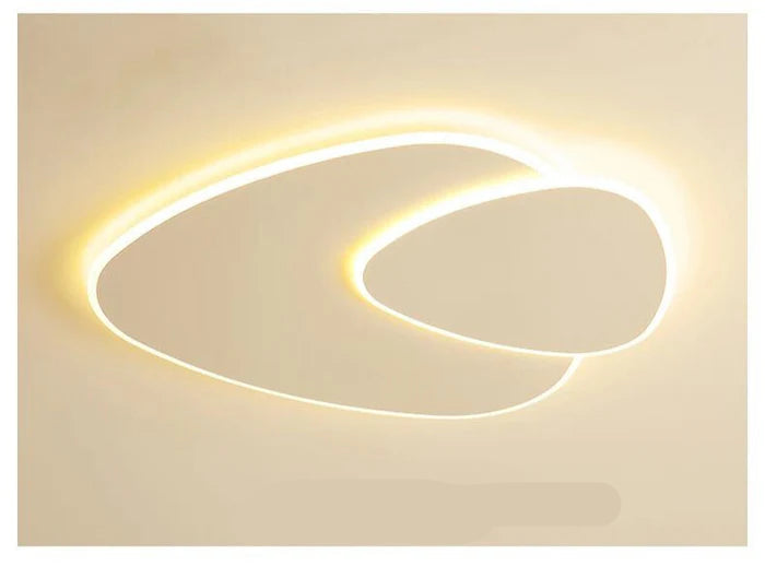 Modern LED Ceiling Light