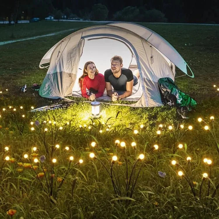 Radiavor Solar LED Light