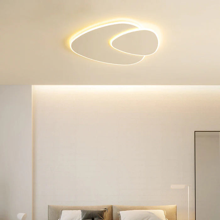 Modern LED Ceiling Light
