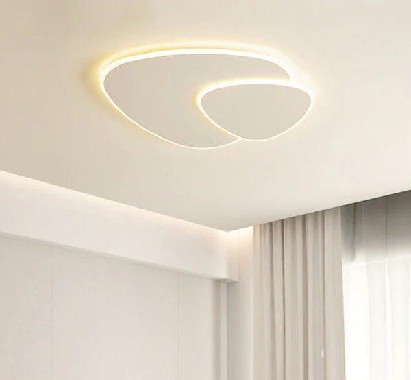 Modern LED Ceiling Light