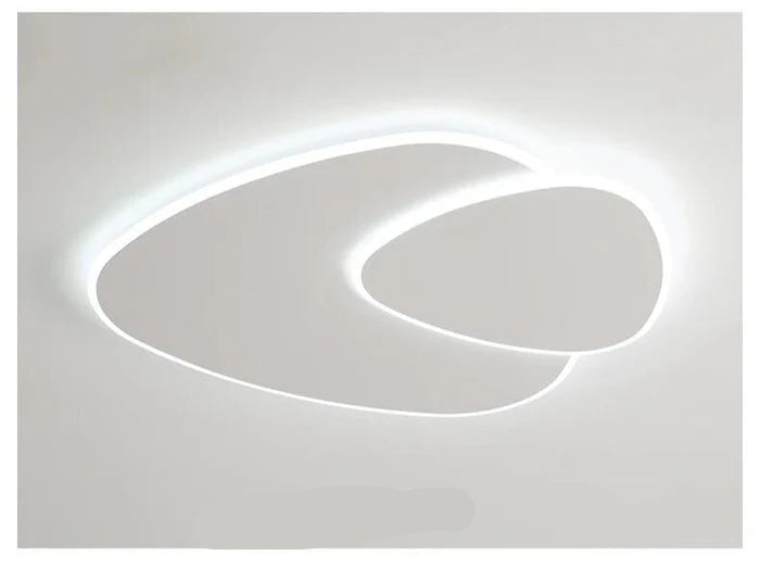 Modern LED Ceiling Light