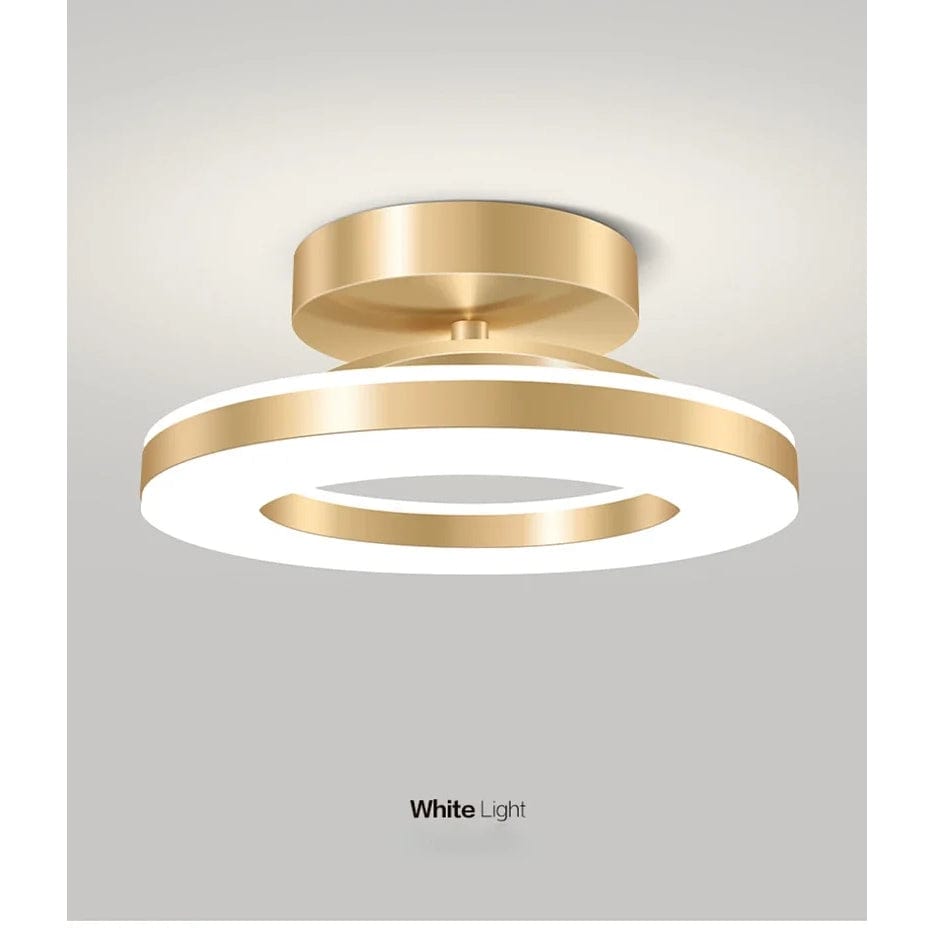 Veylume Modern Flush Mount LED Ceiling Light Fixture